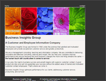 Tablet Screenshot of businessinsights.com